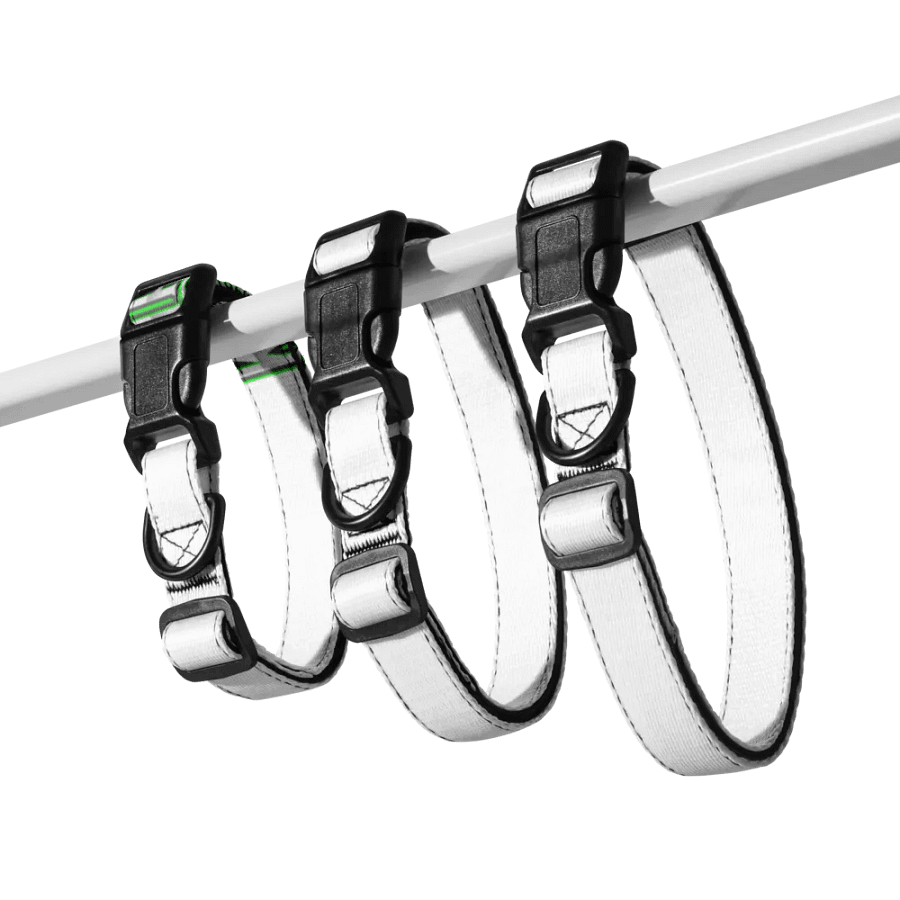 KMPUDGE Est. 1964 Pet Collar product image (5)