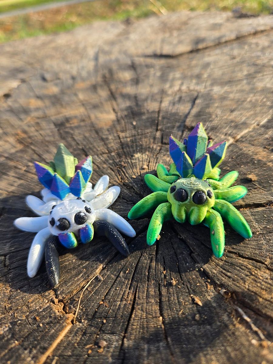 Adopt a Spider! product image (9)