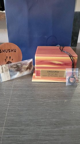 Shushu is back home.