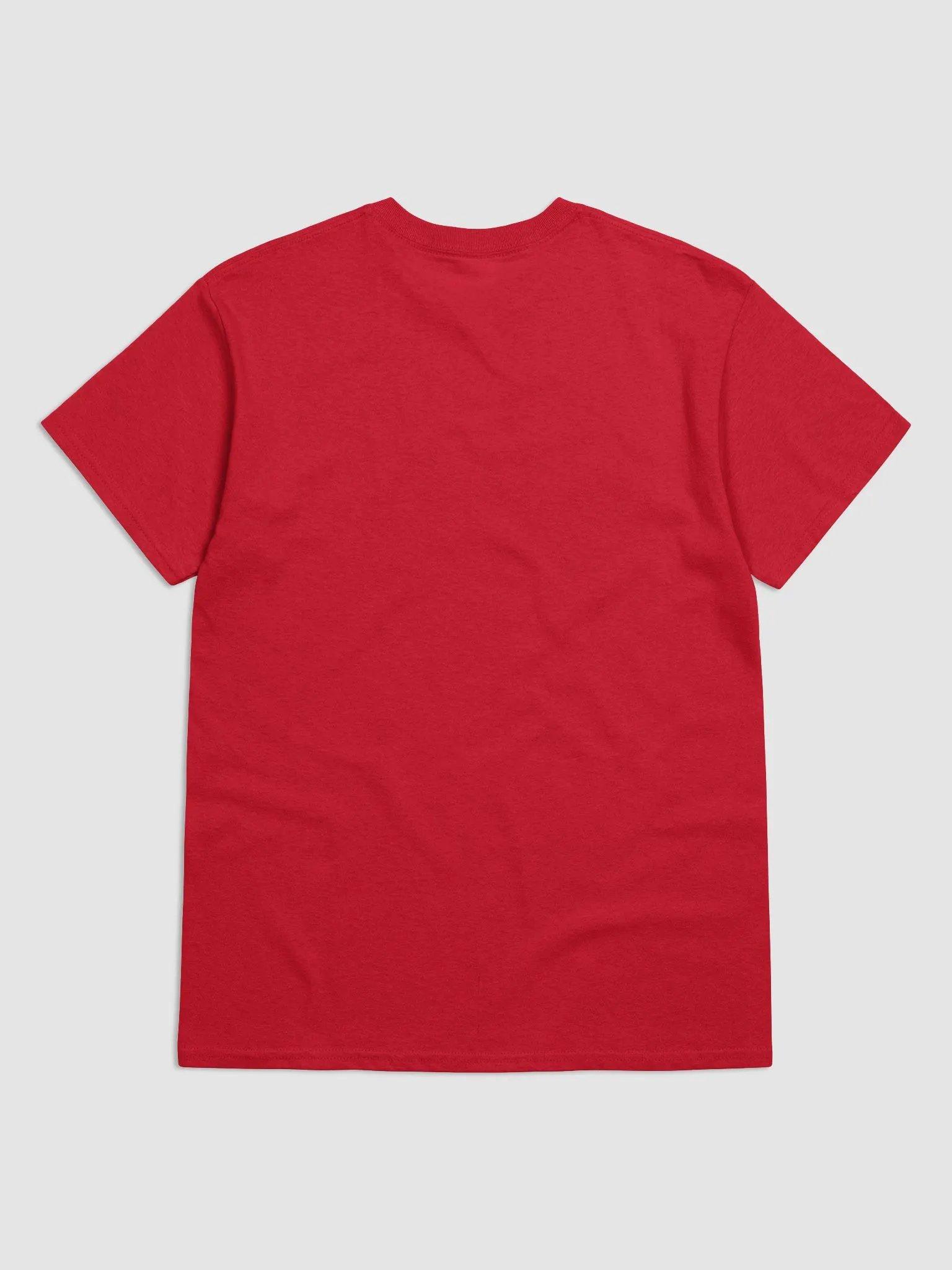 Sligo/Sligeach Scholastic style Ogham printed T-shirt product image (5)