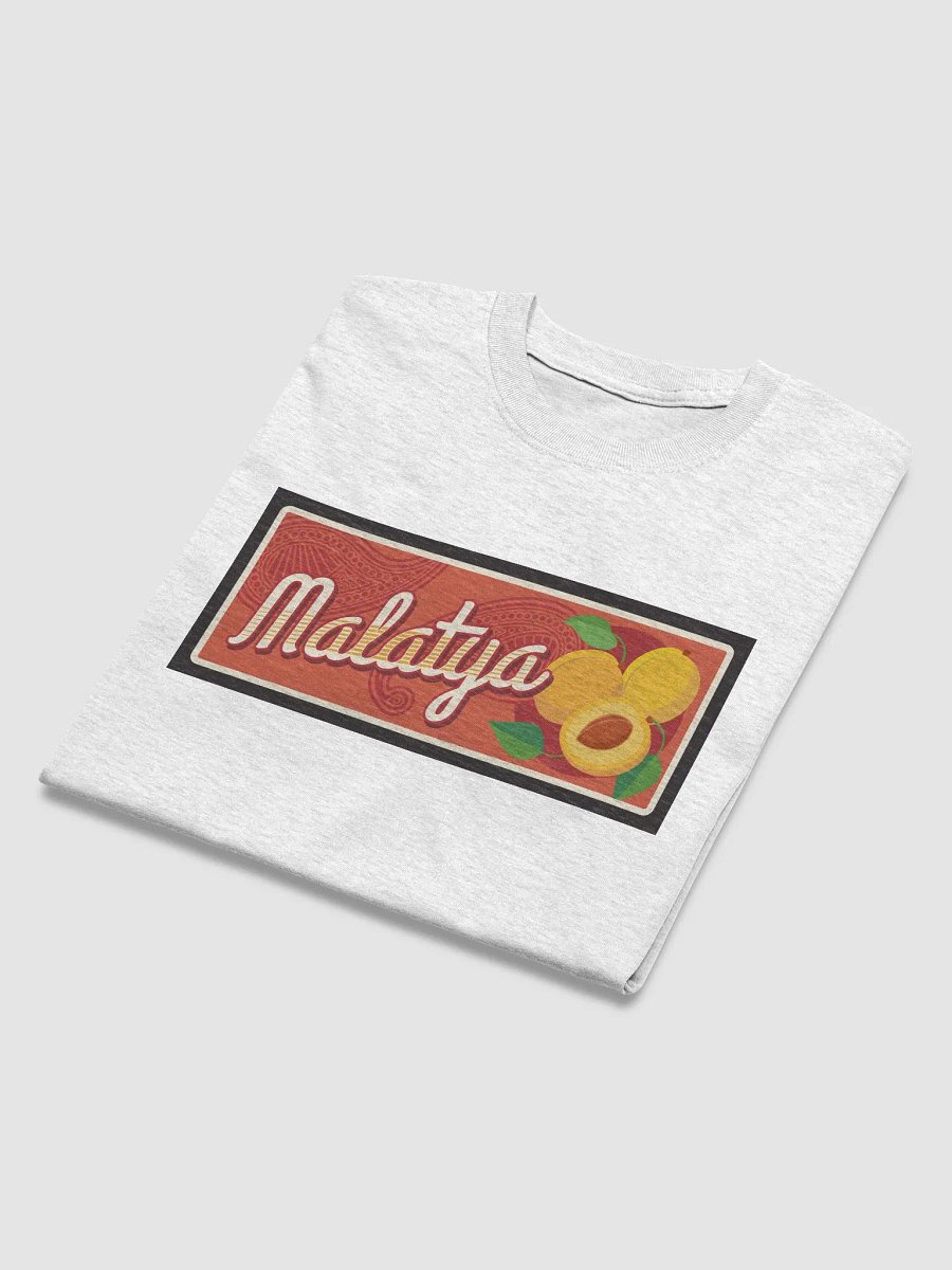 Vintage Malatya Apricot Design - Turkish City product image (43)