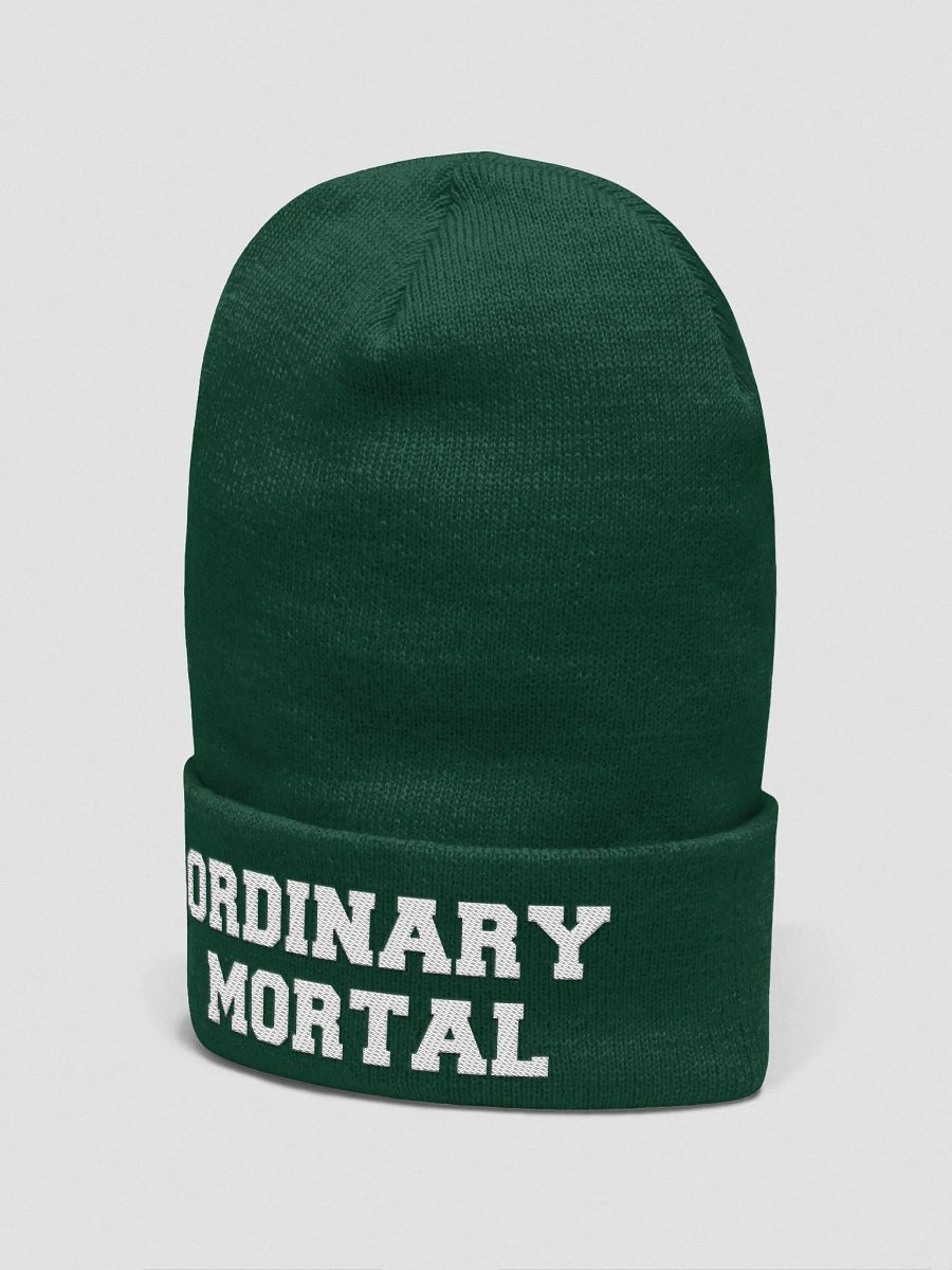 Ordinary Human embroidered beanie product image (3)
