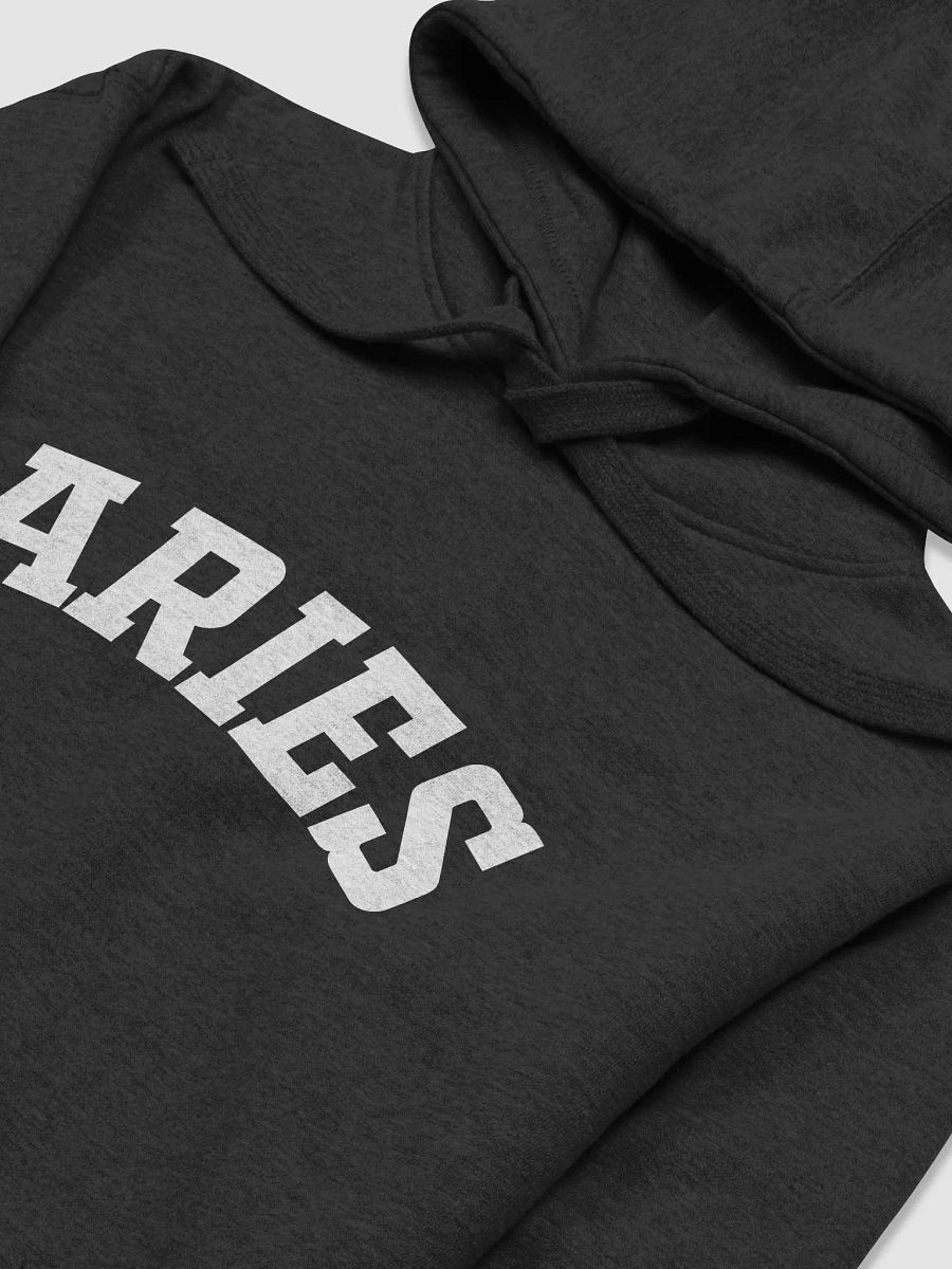 Aries Hoodie product image (3)