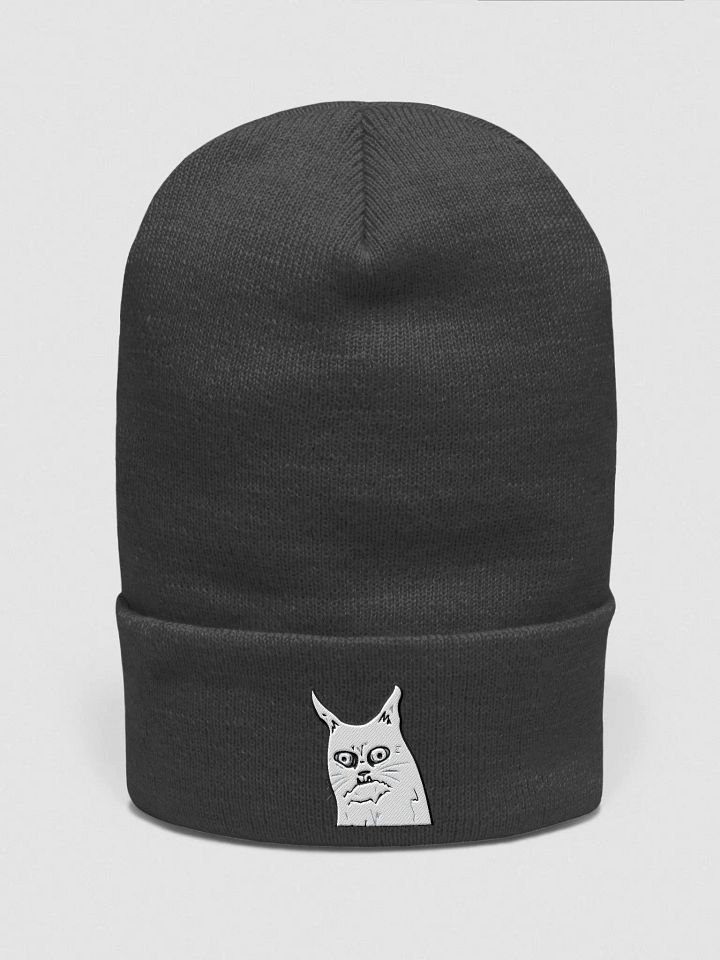 WEIRD FUCKIN CAT BEANIE product image (6)
