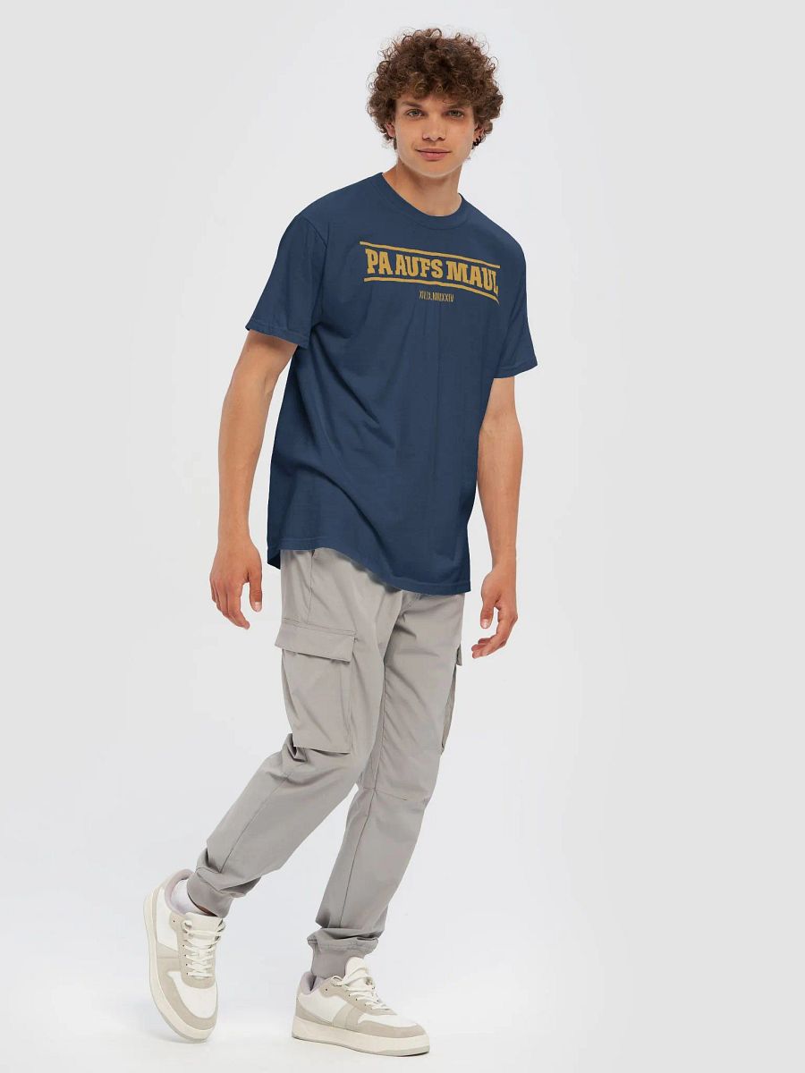 Pa Aufs Maul Unisex Shirt product image (1)