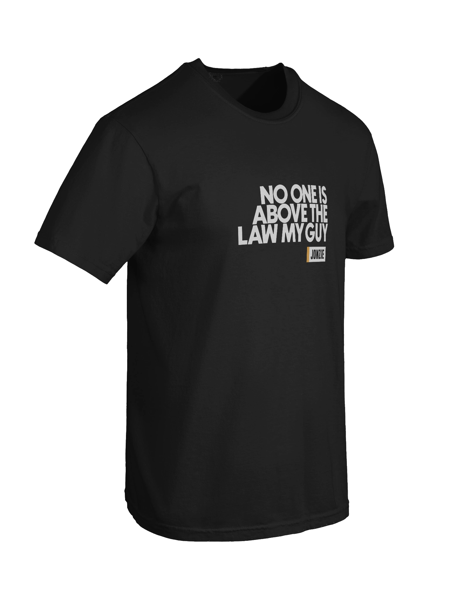NO ONE IS ABOVE THE LAW T Shirt product image (8)