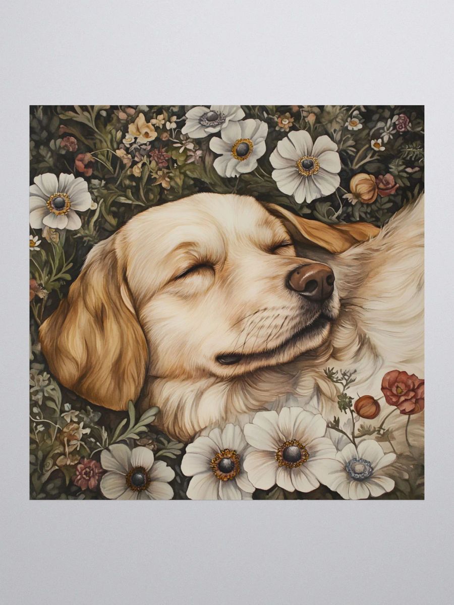 Anemone Dog Kiss Cut Stickers product image (2)