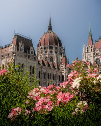 Flowers are blooming around the Parliament 😊 I have made a similar picture some time ago closeby, but didn't have so many flo...