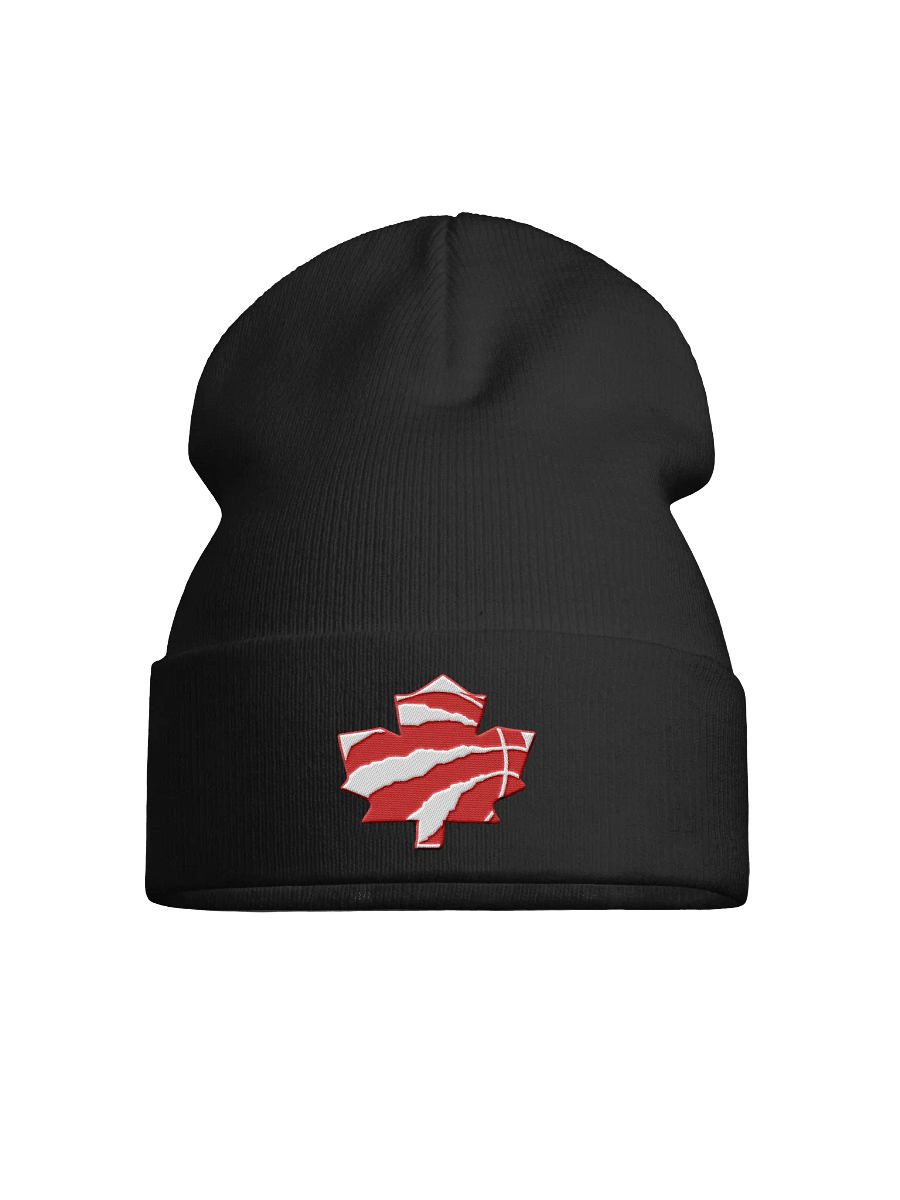 Toronto Dinos Beanie product image (1)