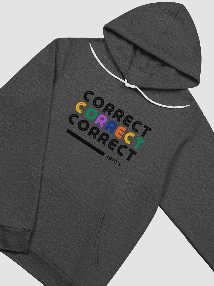 Correct Hoodie product image (2)
