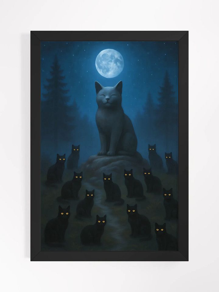 The Midnight Council product image (1)