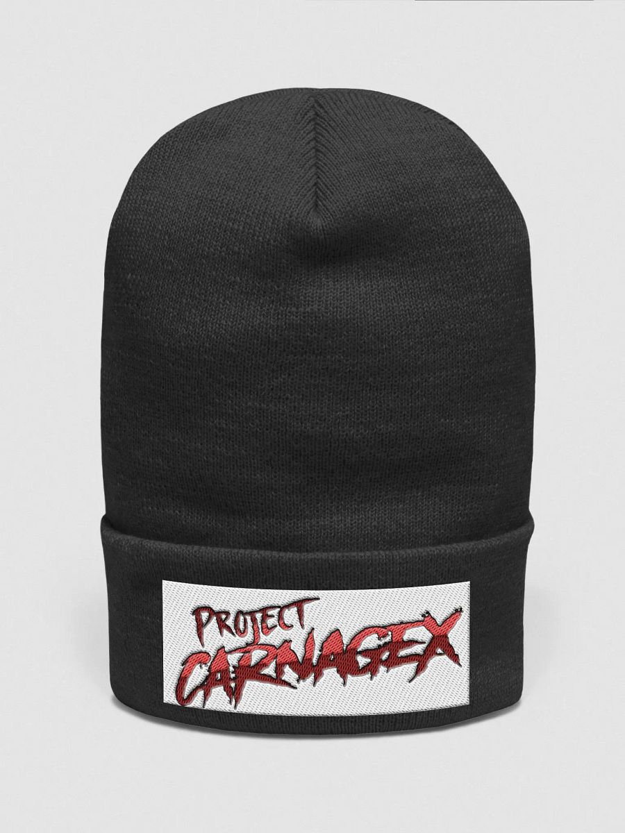 Beanie product image (1)