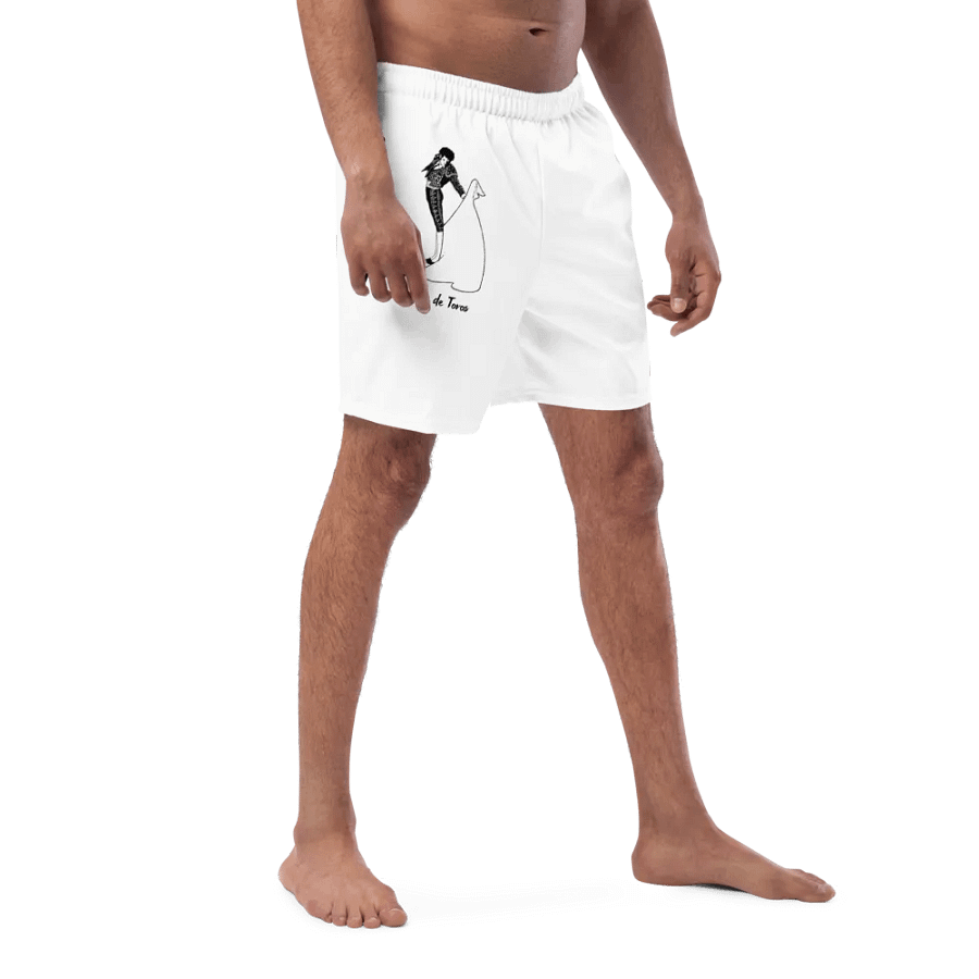 SPAIN Corrida de Toros (Bull Fighting) product image (8)