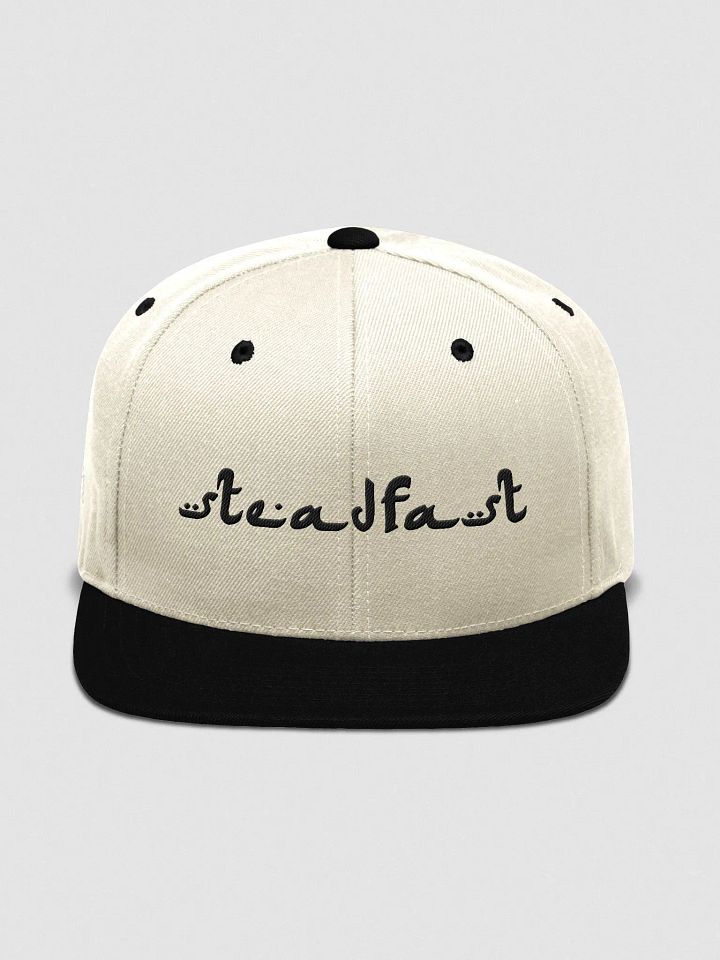 SteadFast product image (3)