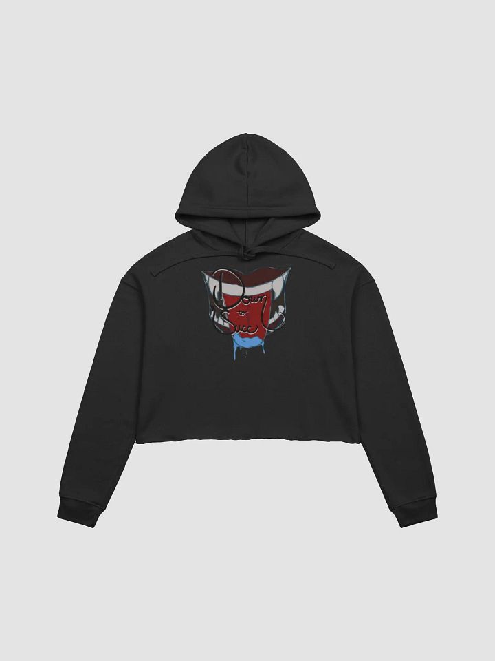 DTS Crop Hoodie product image (3)
