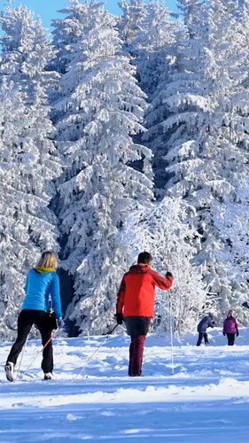 Winter will be here soon! Get the gear for the season!

#wearthewilderness 
#winter 
#explore 
#stcroixnaturecompany 
#ski