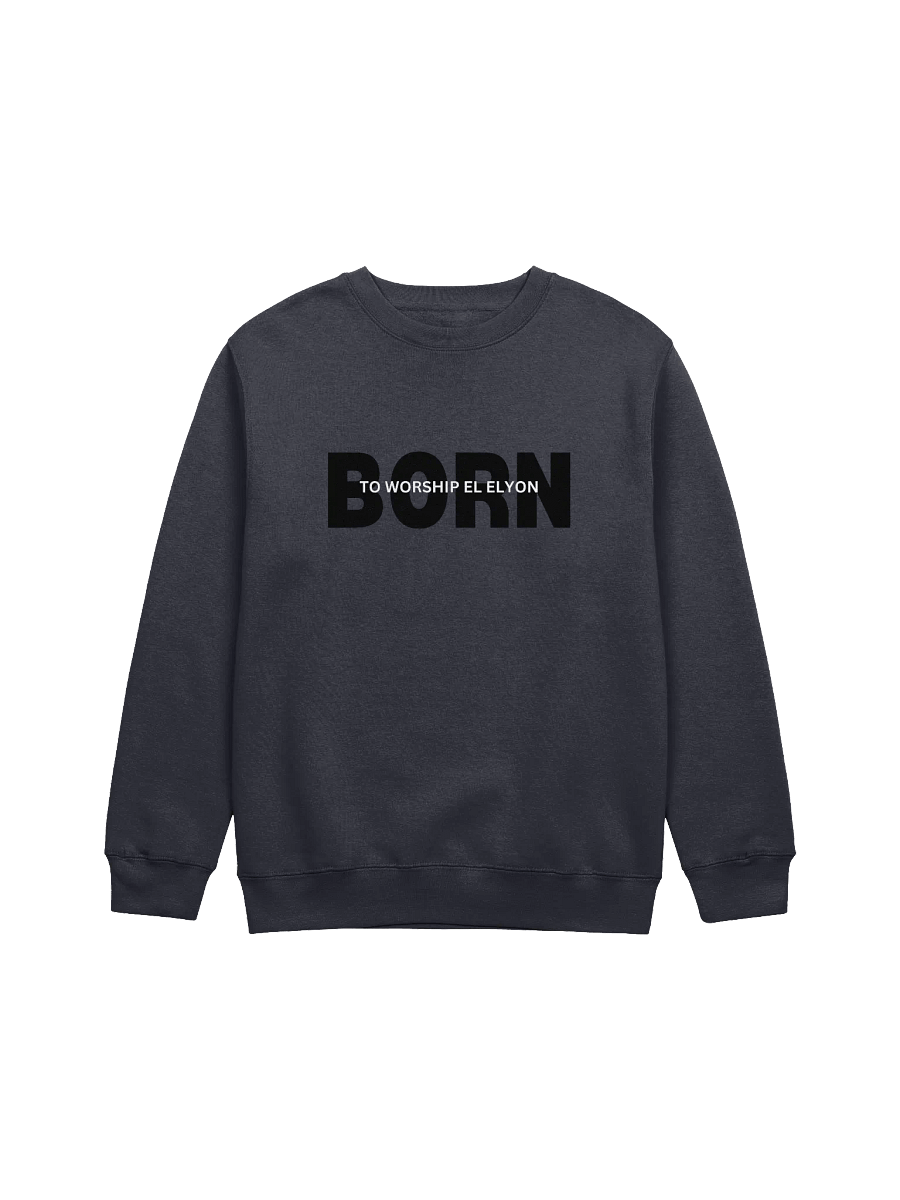 Elevated Worship Crewneck Sweatshirt product image (3)