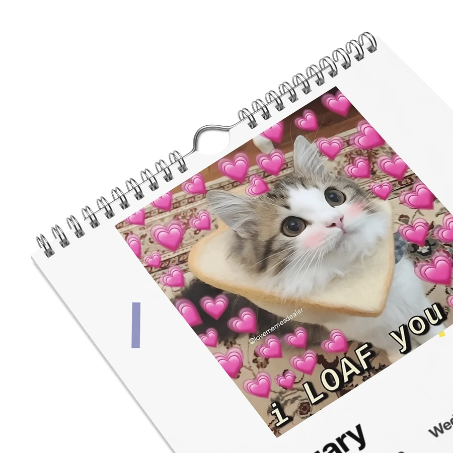 Wall Calendar (2024): Meme Cats product image (9)