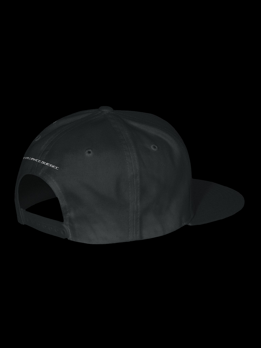 Yupoong Snapback | Brodé product image (2)