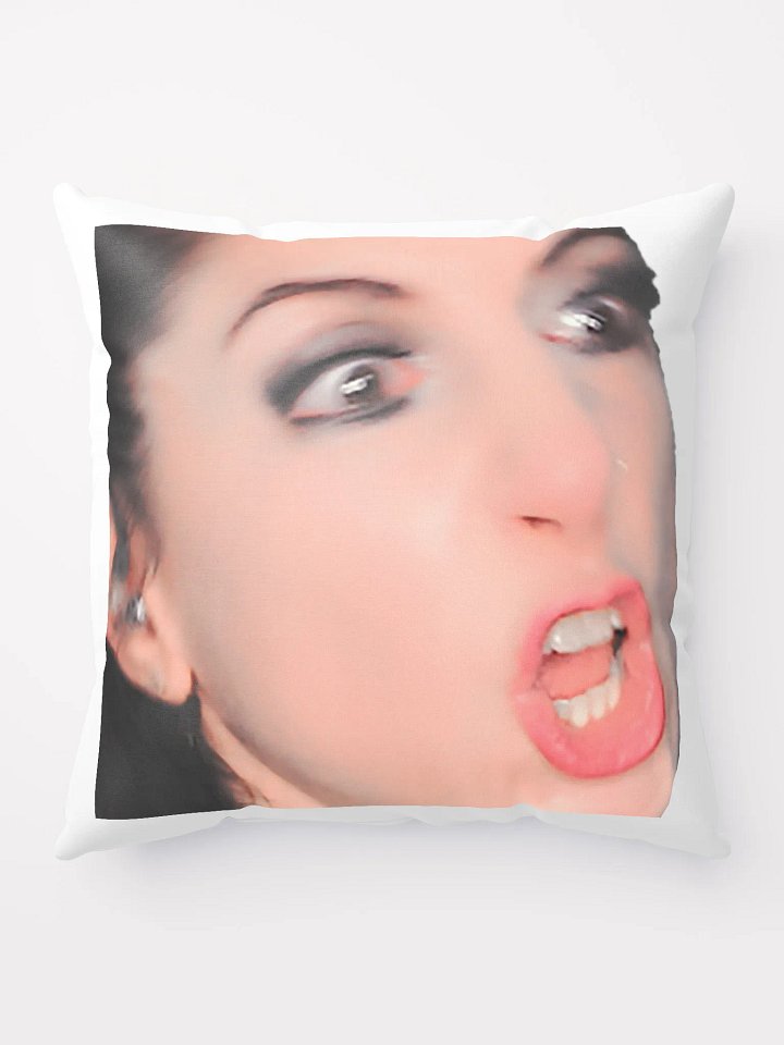 RIDICULOUS PILLOW product image (1)