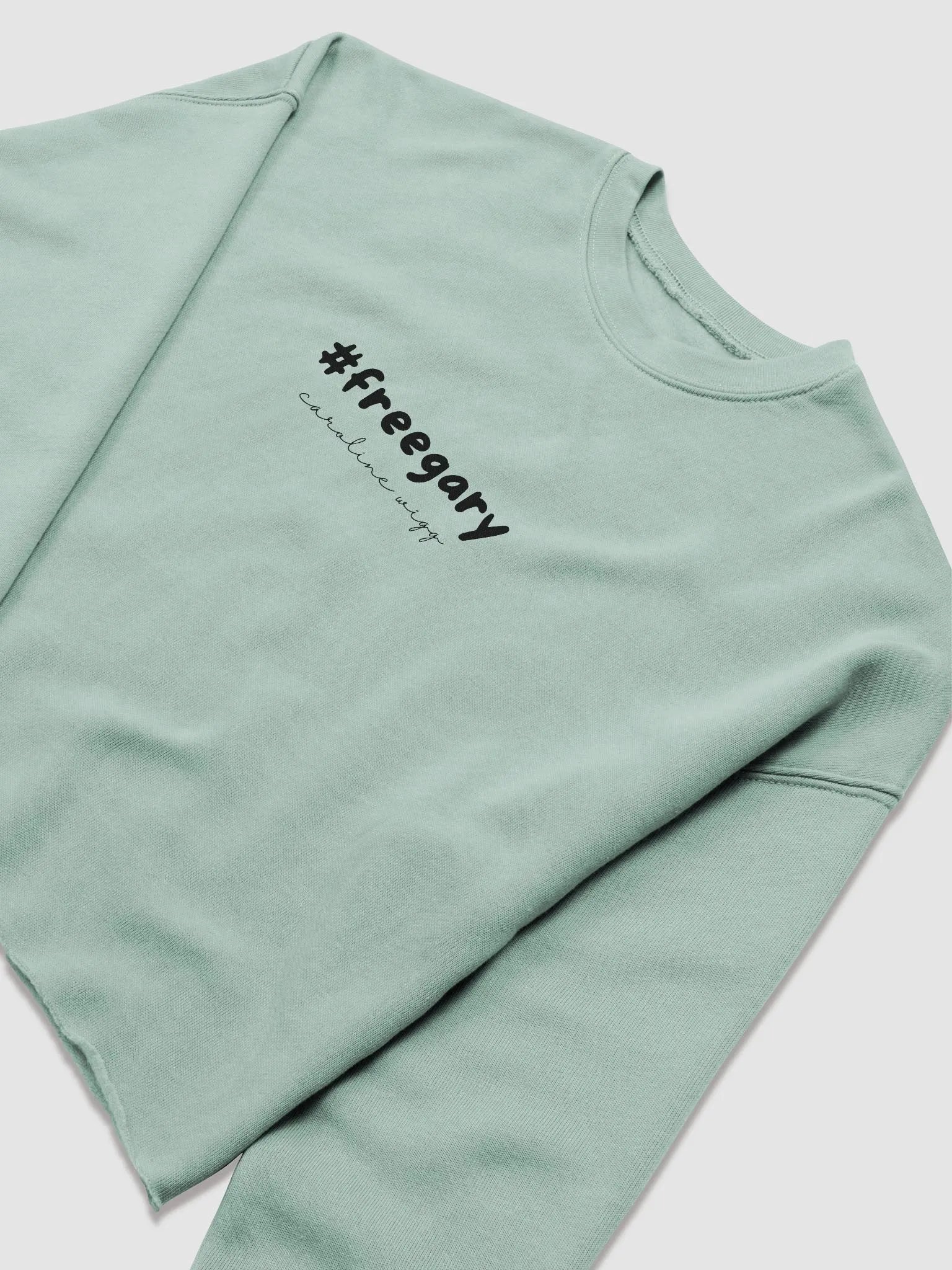 Free Gary Crop Sweatshirt - Light Colours product image (9)
