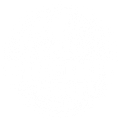Bigfoot Lodge Upstate