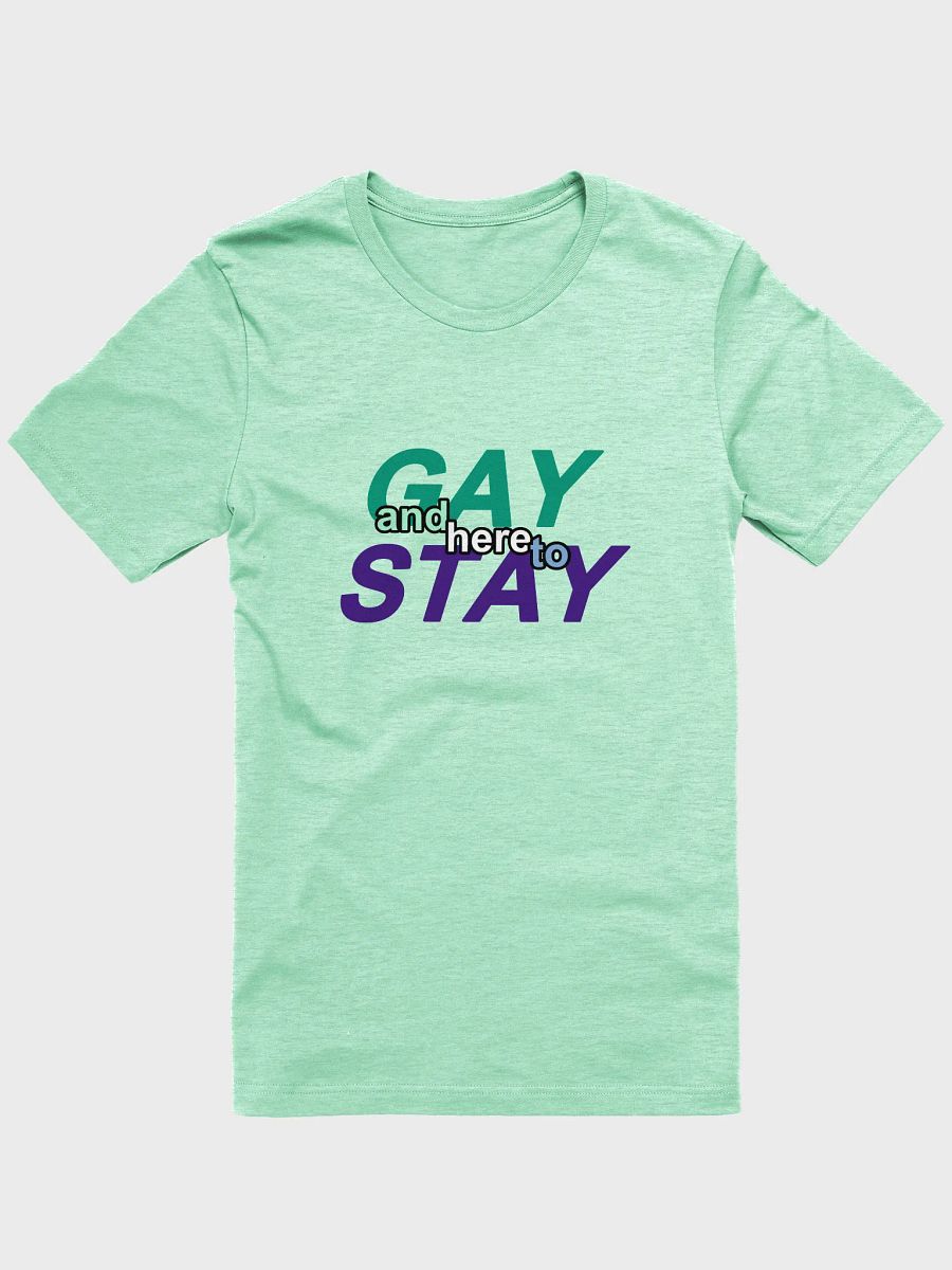 gay and here to stay (mlm) t-shirt product image (1)
