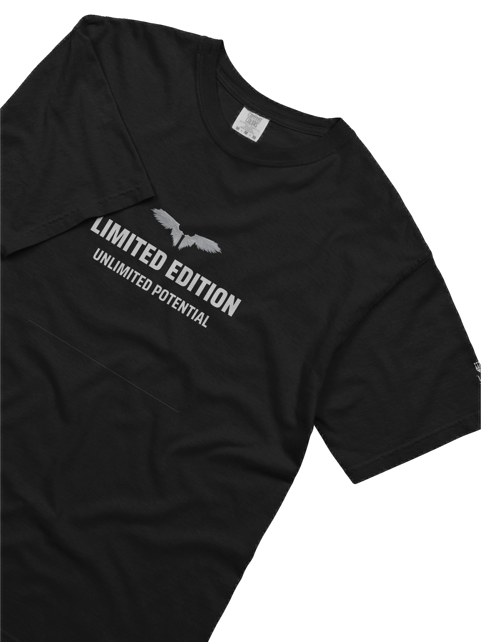 Limited Edition. Unlimited Potential. Relaxed T-shirt product image (5)