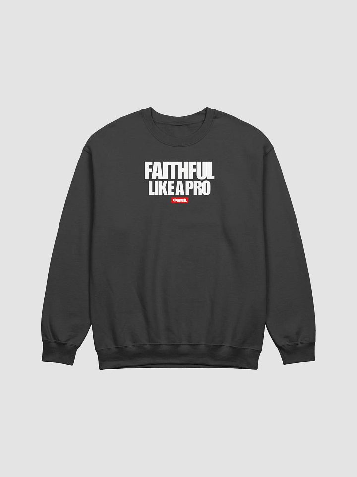 FAITHFUL LIKE A PRO Sweatshirt product image (2)