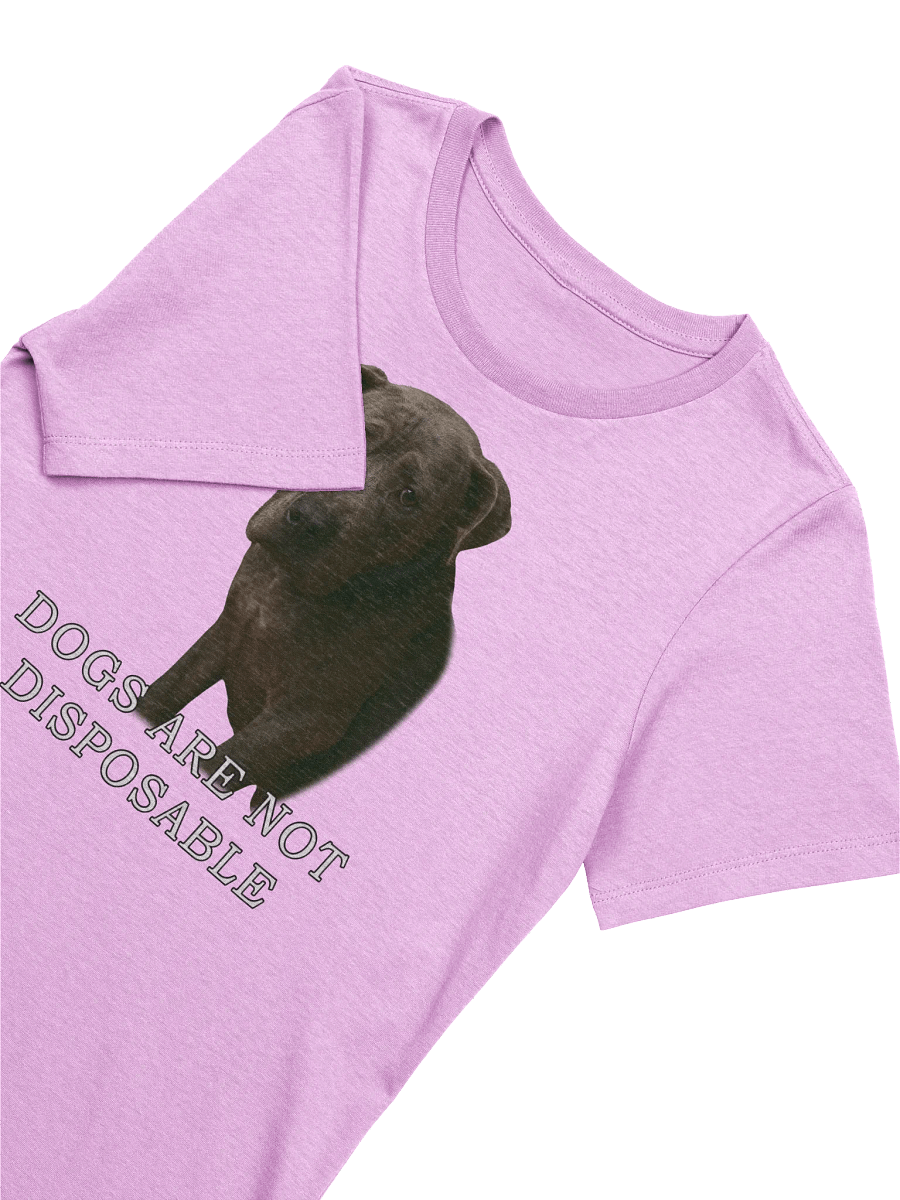 Dogs Are Not Disposable Women's T-Shirt product image (7)