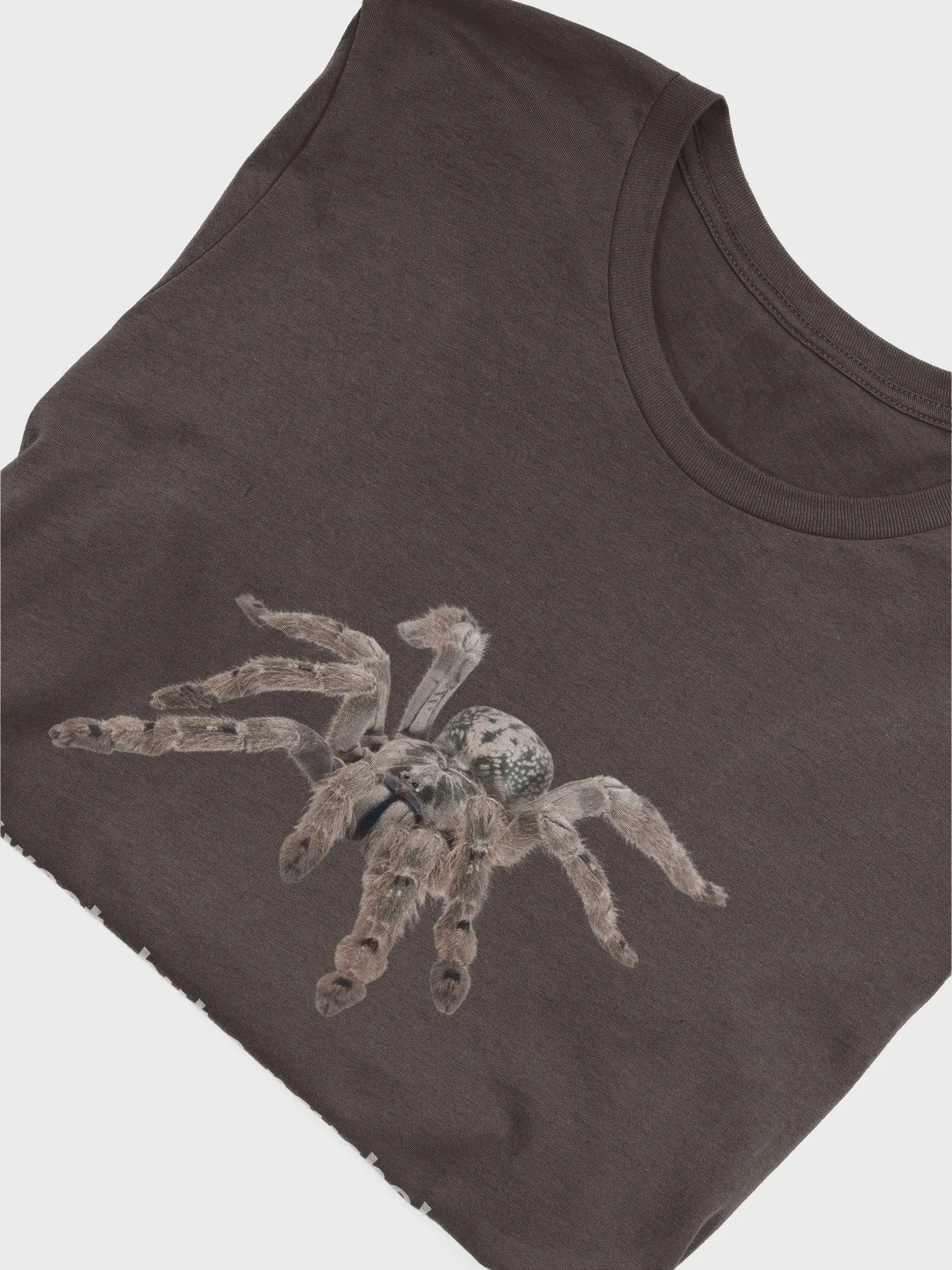 Heteroscodra maculata spider T-shirt product image (3)