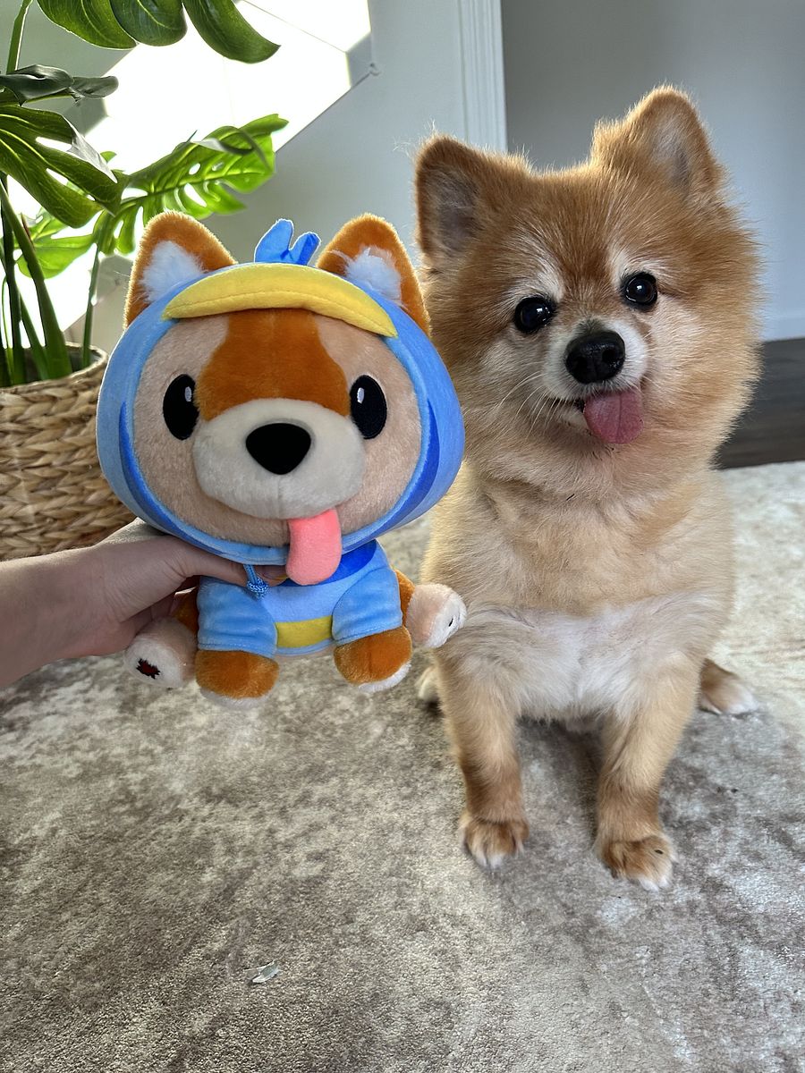 Charlie Plushie Duck Outfit product image (1)