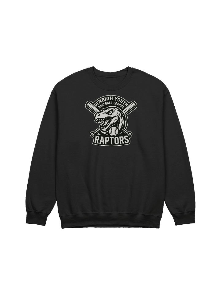 Raptors - Sweatshirt product image (5)