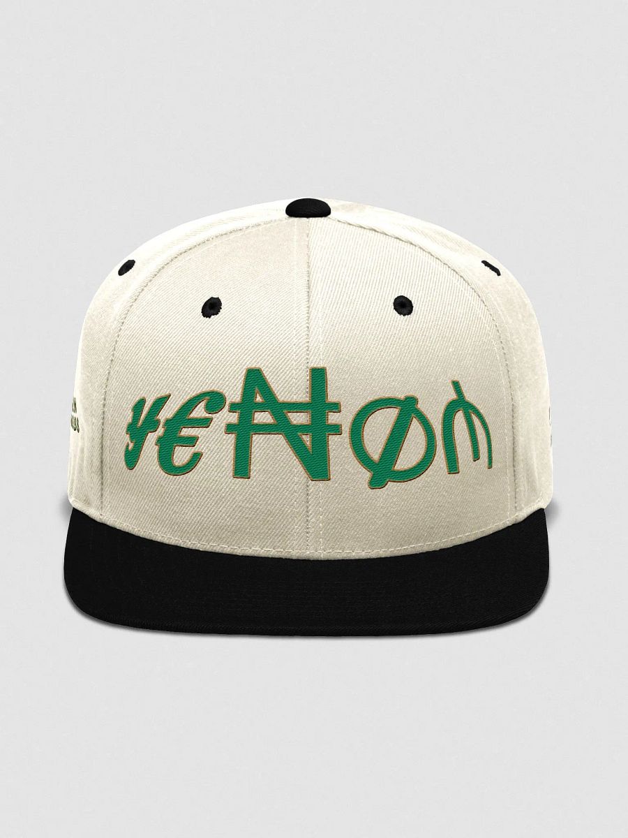 MITT WEALTHY WOOL BLEND SPAPBACK CAP product image (1)