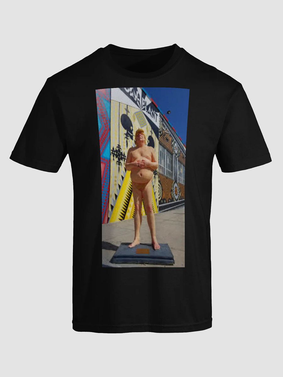DONALD TRUMP MAKE AMERICA GREAT AGAIN product image (5)
