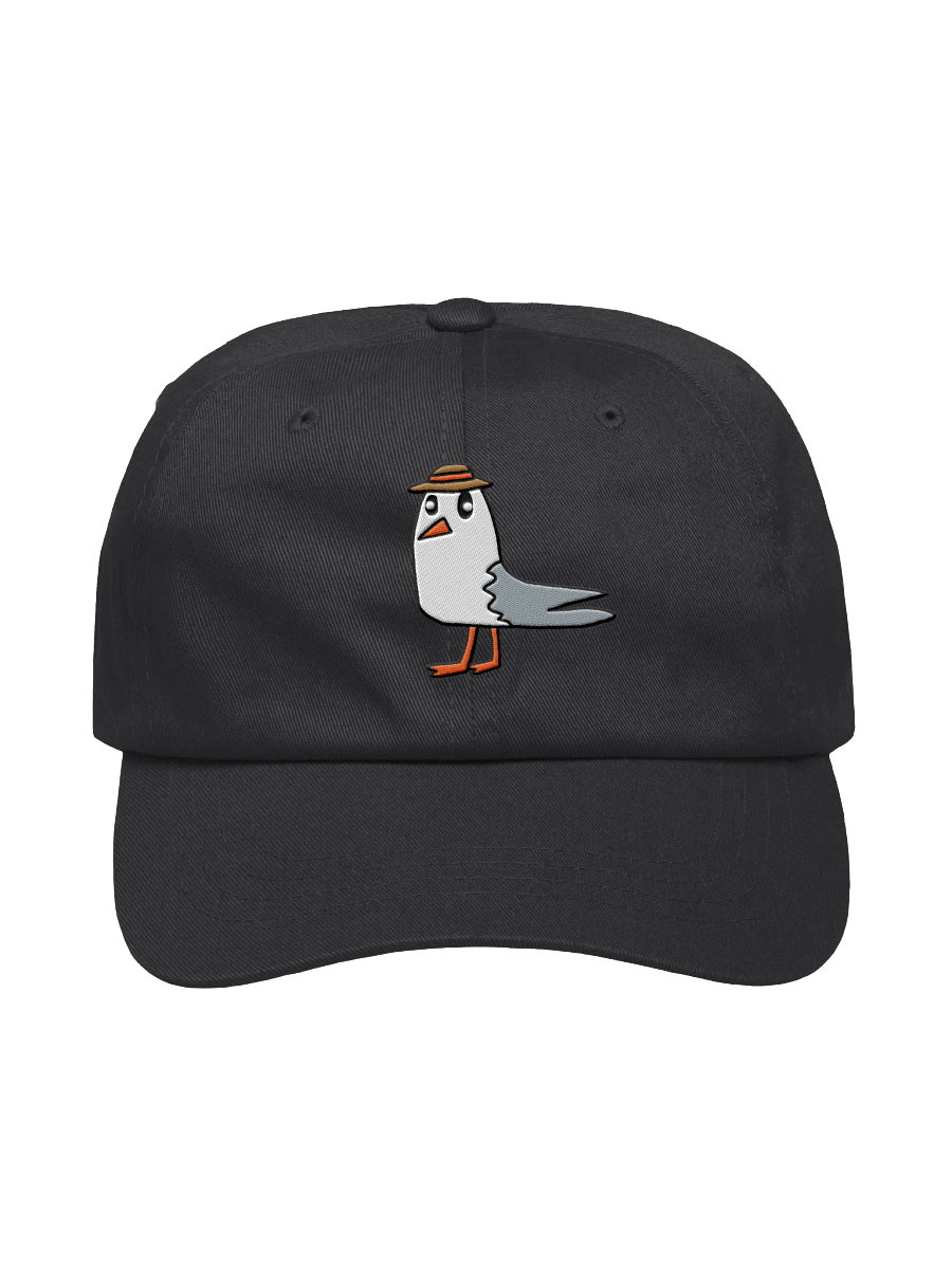 Embroidered Lil Gull Hat product image (1)