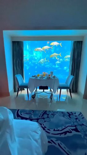 This could’ve been the song of the summer but the distributor be playing 😅