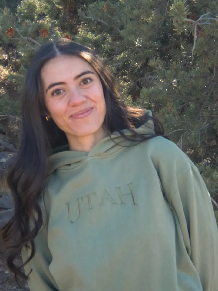 Utah Embroidered Hoodie product image (1)