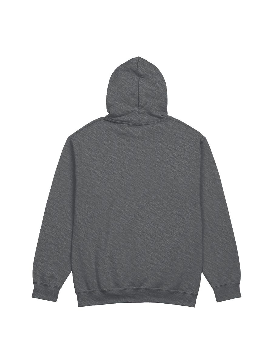 LIFE IS MY SOUNDSTAGE Hoodie product image (3)