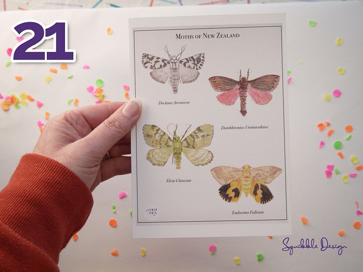 Supporter Print - Moths of New Zealand product image (1)