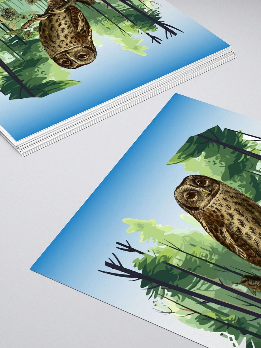 Forest Owl product image (4)