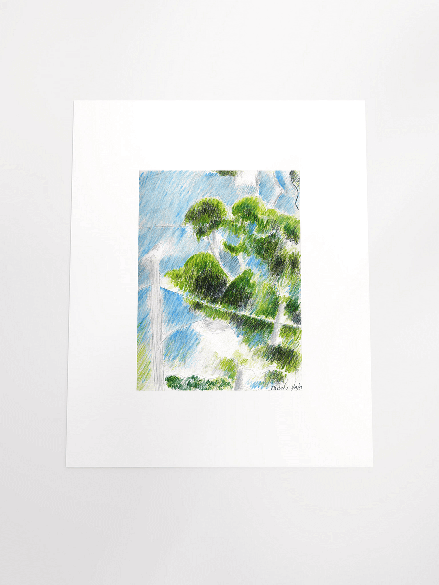 Eucalyptus 07.14.84 print product image (5)