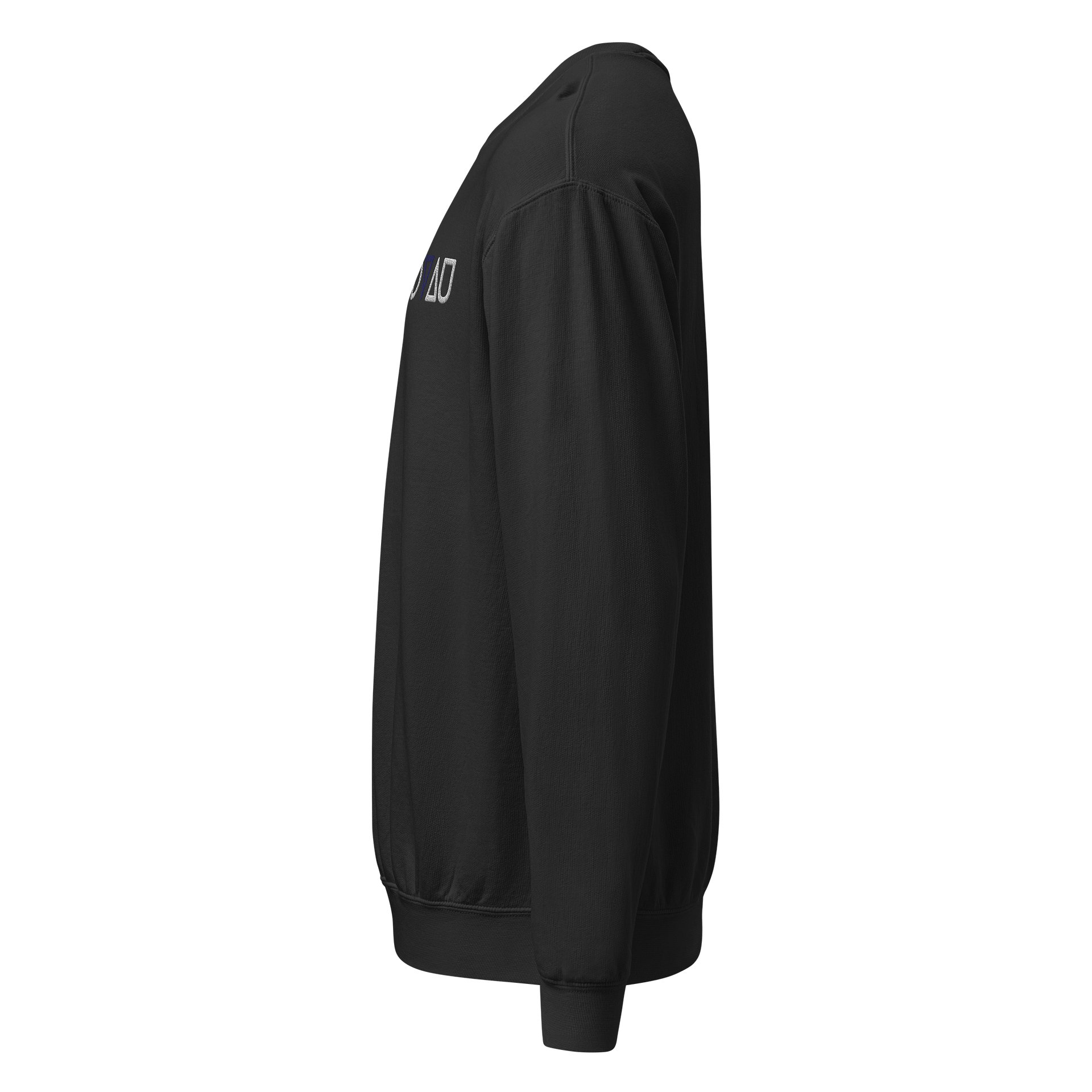 DVAU embroidered crewneck product image (3)