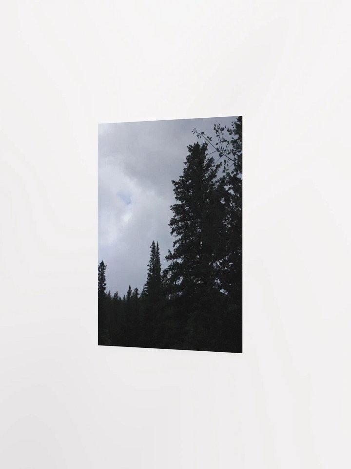 This Is Not In Black & White - Poster product image (5)