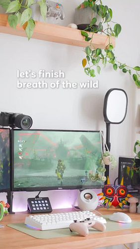 Happy Tuesday 🩷🌱

Im about done with my master mode botw playthrough 🥹 its definitely an end of an era in my streaming career...