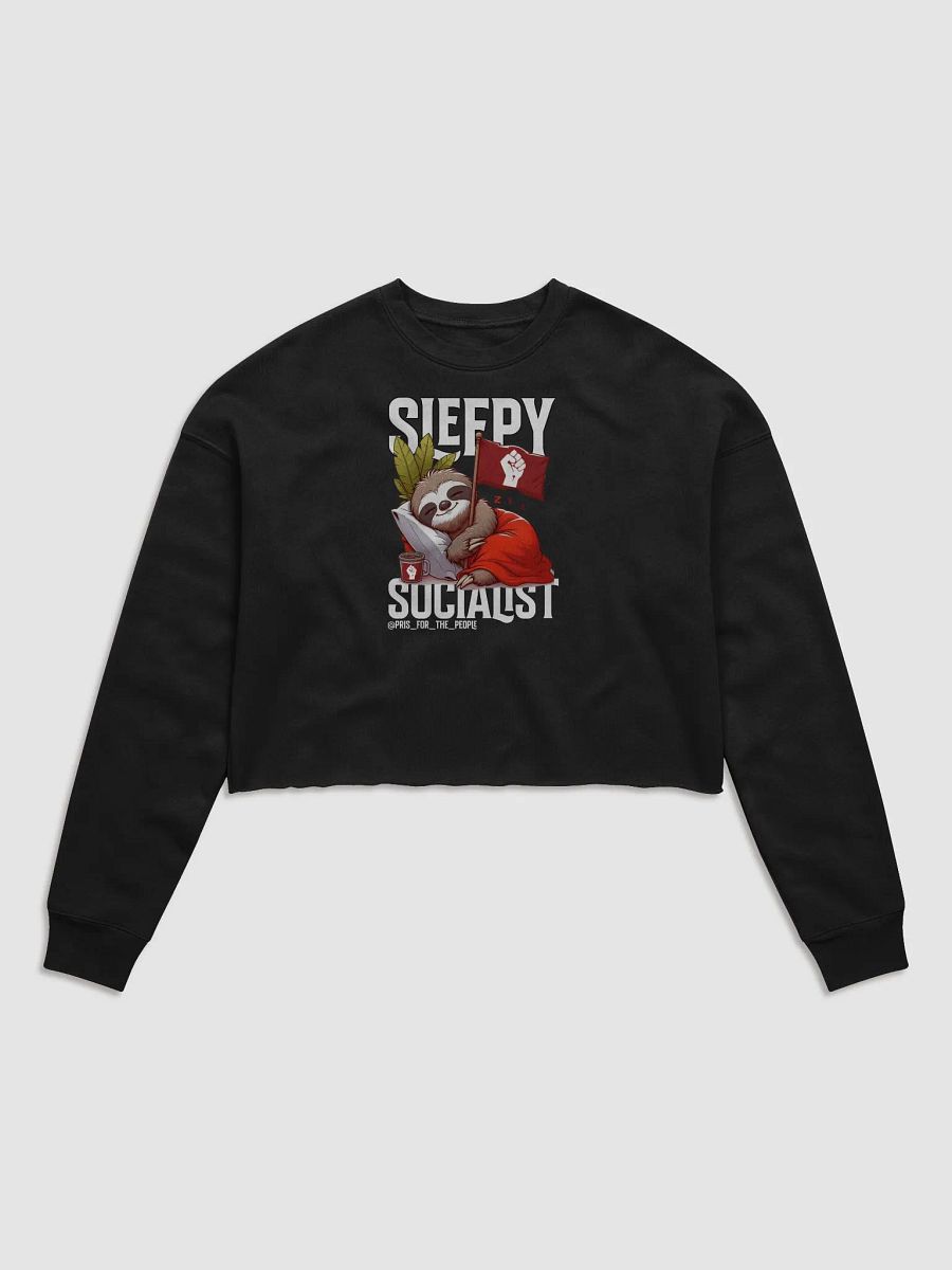 Pris - Sleepy Socialist Bella+Canvas Fleece Crop Hoodie product image (3)