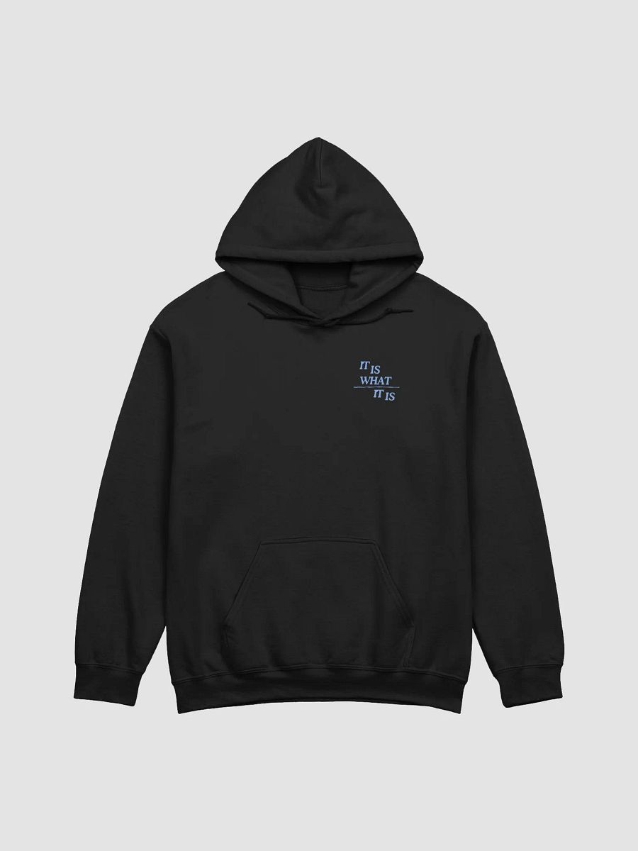 Or Maybe It Isn't? - Hoodie product image (1)