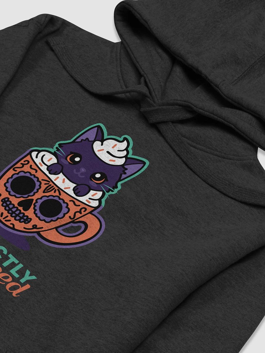 Purrfectly Spiced Premium Hoodie product image (3)