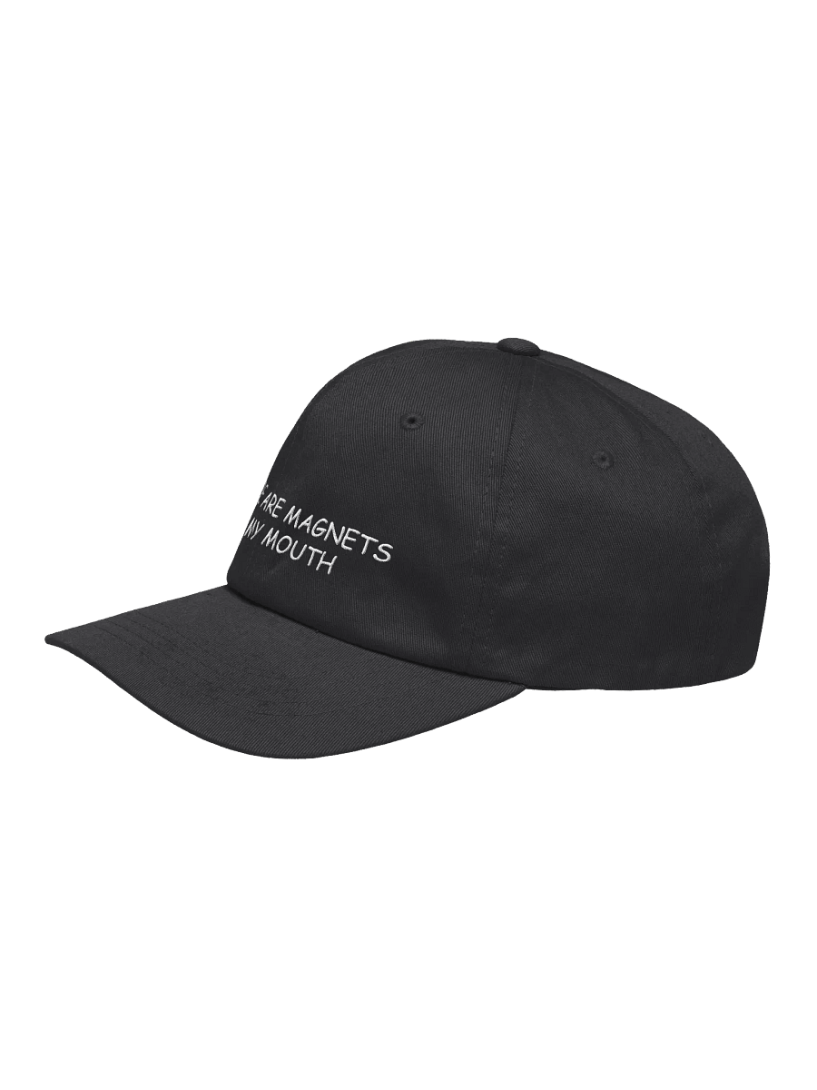 magnets hat product image (3)