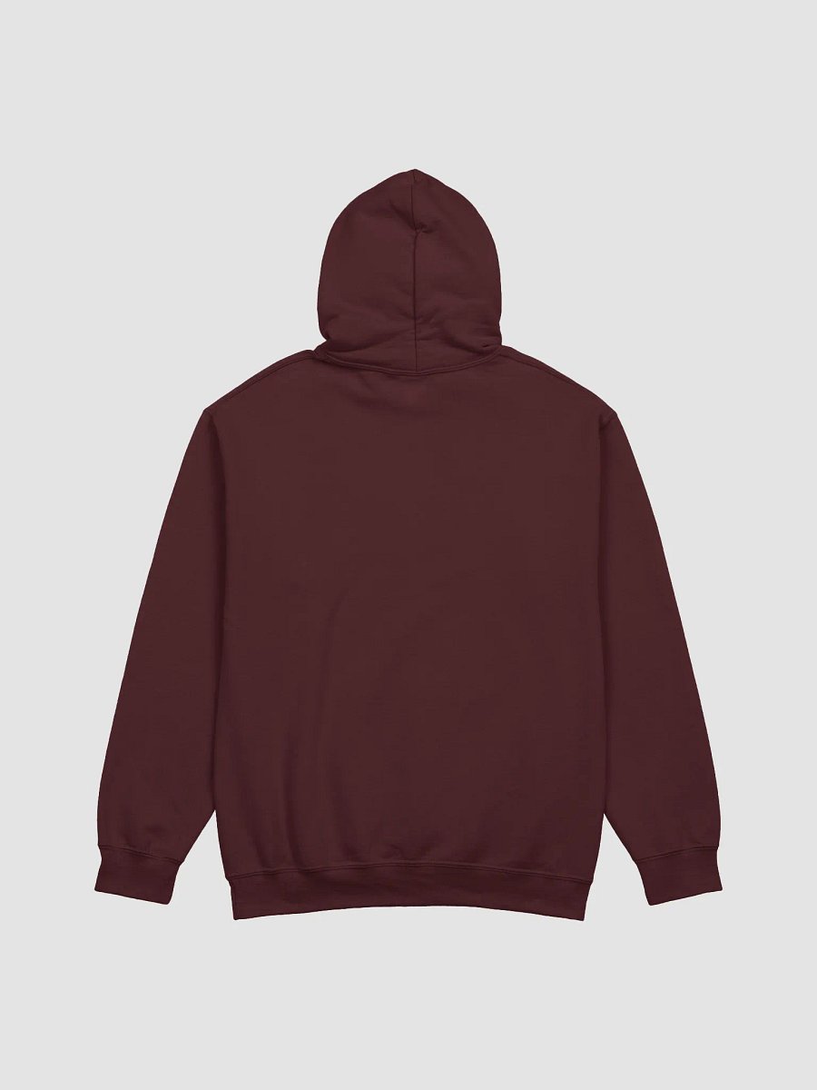Cat Lady Chic Hoodie product image (14)